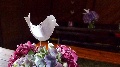 Paprov ptci ze svatebn dlniky